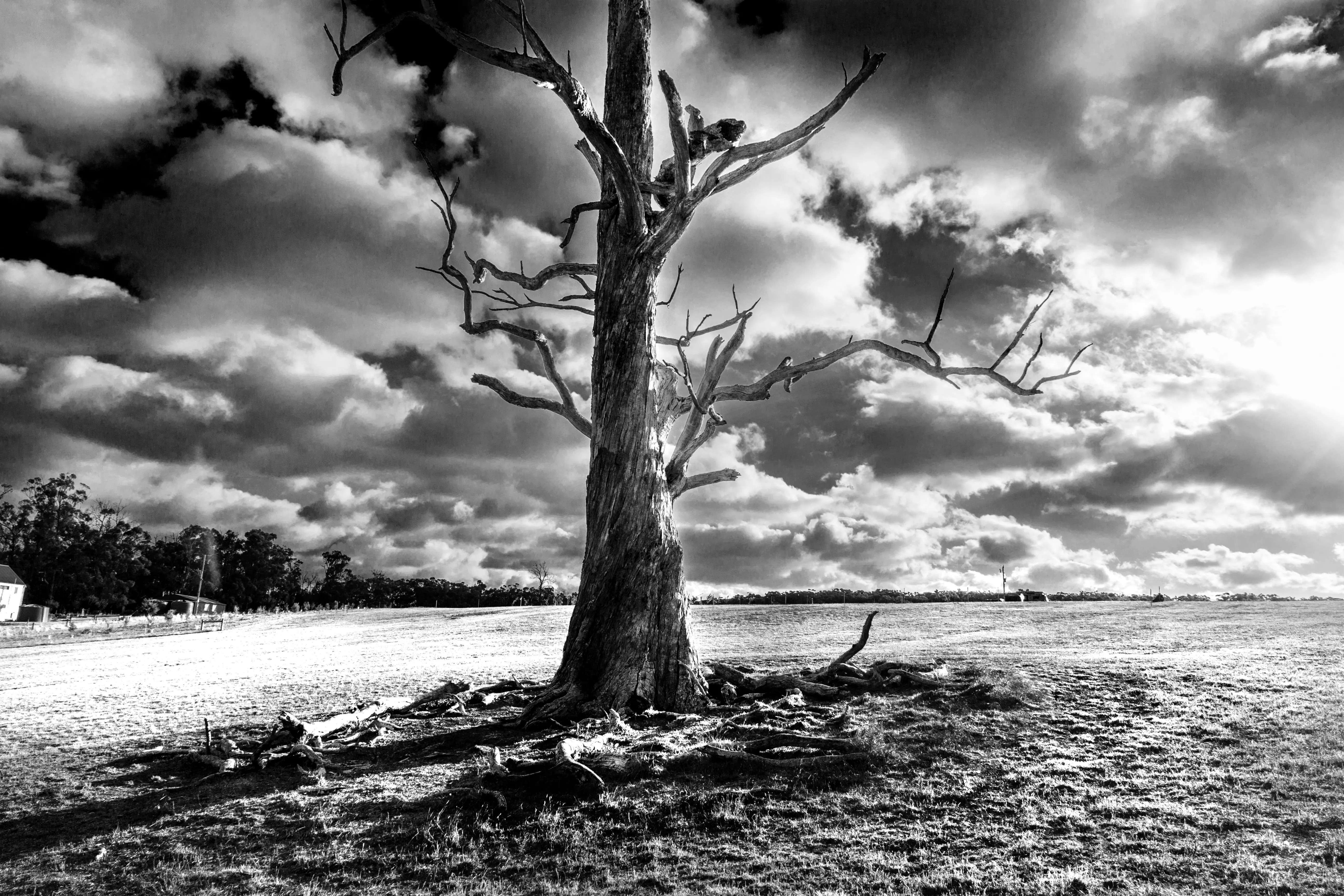 Fine art print 3 of 17